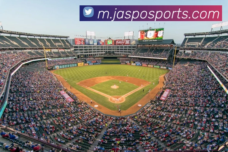 球赛投注平台生态图